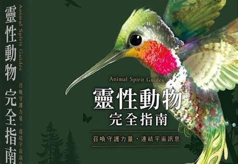 動物靈性是什麼|靈性動物完全指南